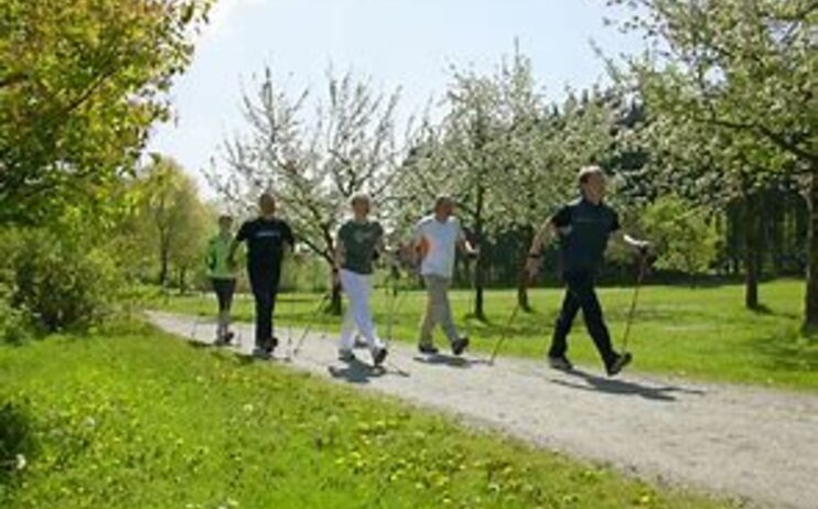 Scopriamo il Nordic Walking